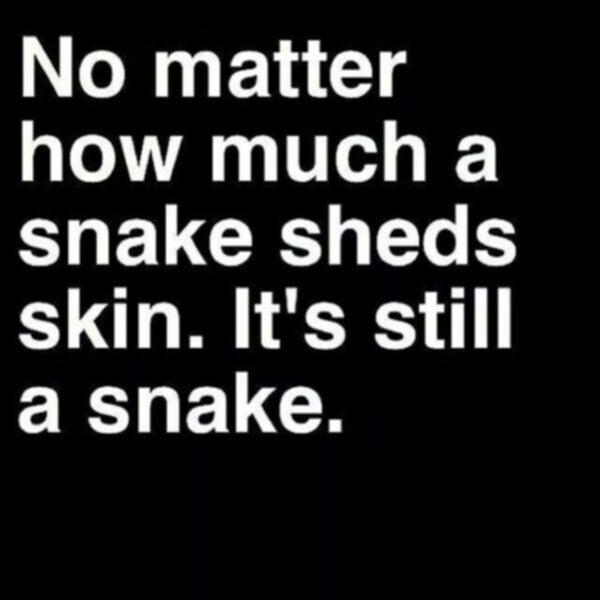Quote Narcissist Snake
